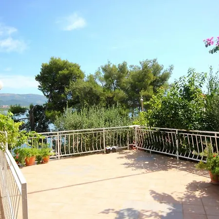 Mastrinka 10261b * Трогір