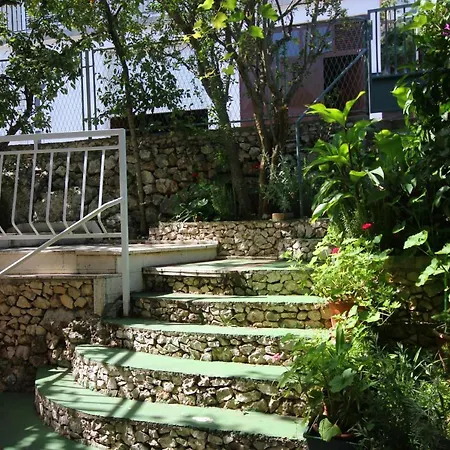 Mastrinka 10261b Трогір